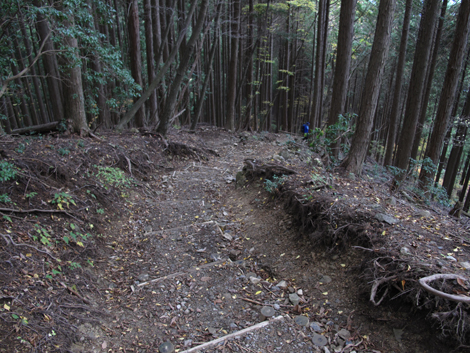 20151116hike (298)
